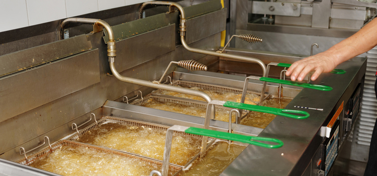 Kitchen Aid Commercial Fryer Repair in Staten Island, New York