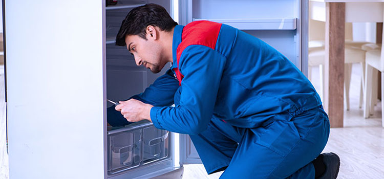 Freezer Repair Services in Woods of Arden, New York
